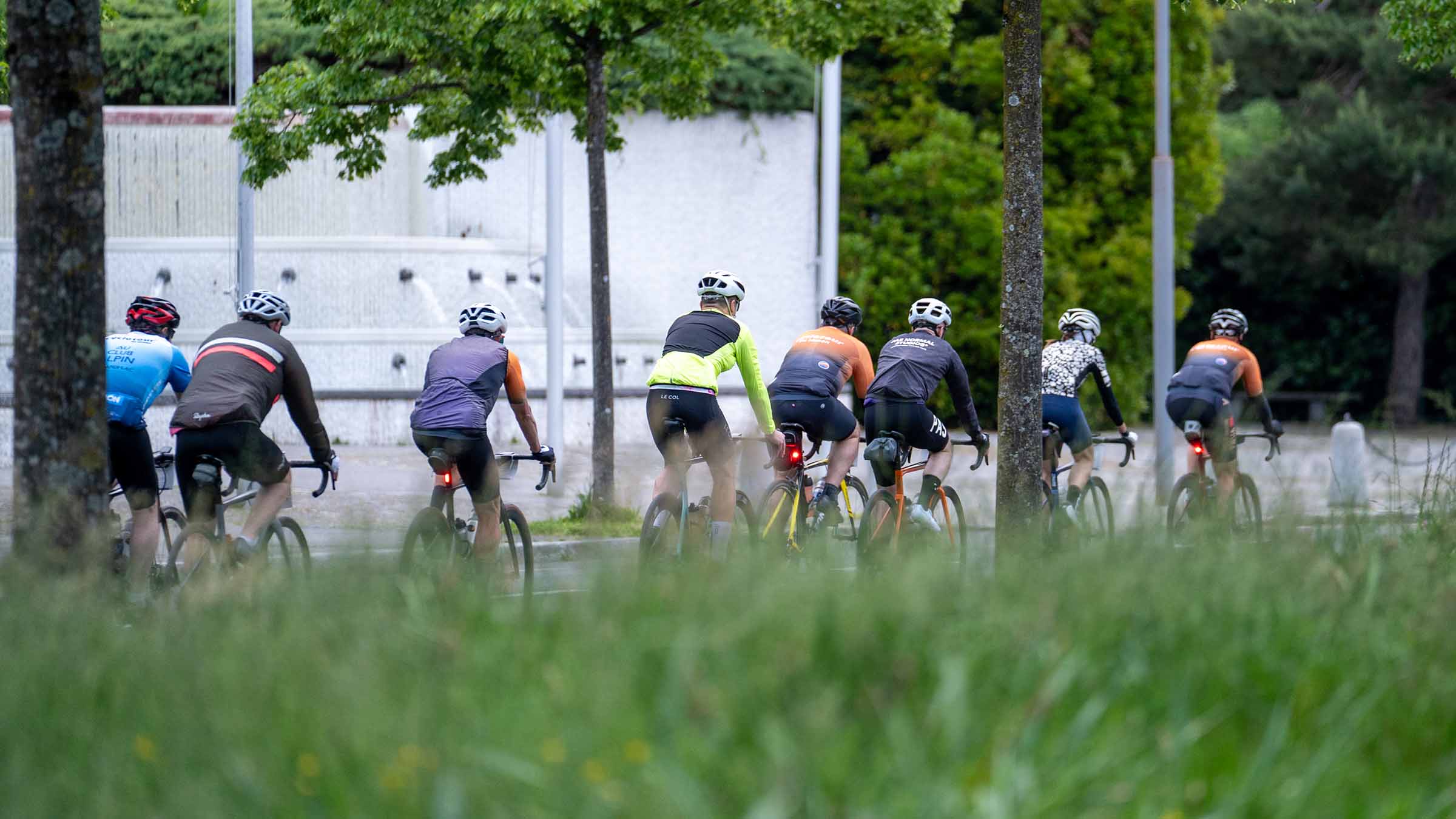cyclists riding surrounded by grass and trees